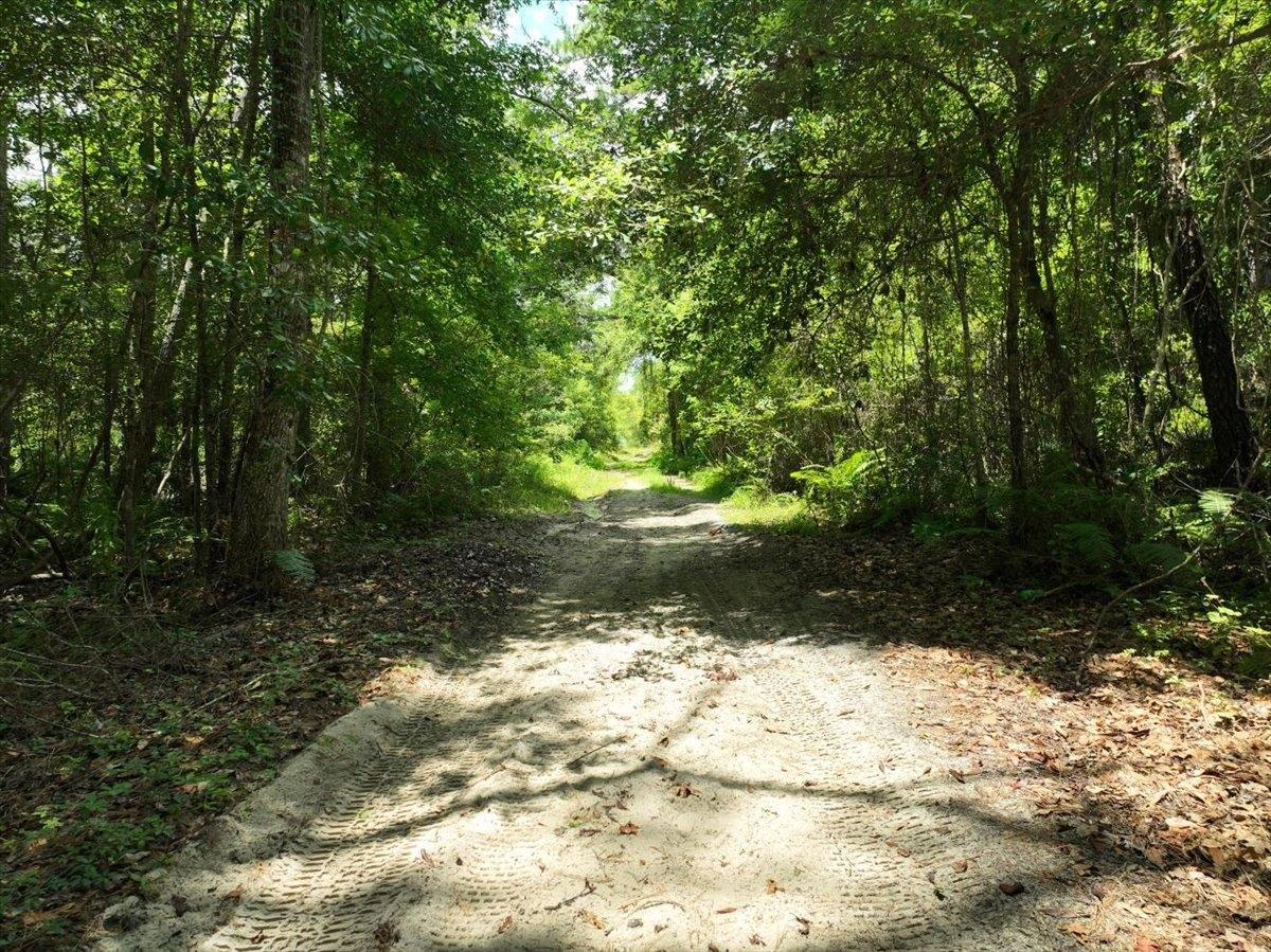 0.34 Acres for Sale in Florahome, Florida