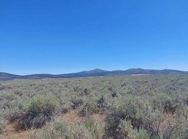 20.87 Acres for Sale in Madeline, California