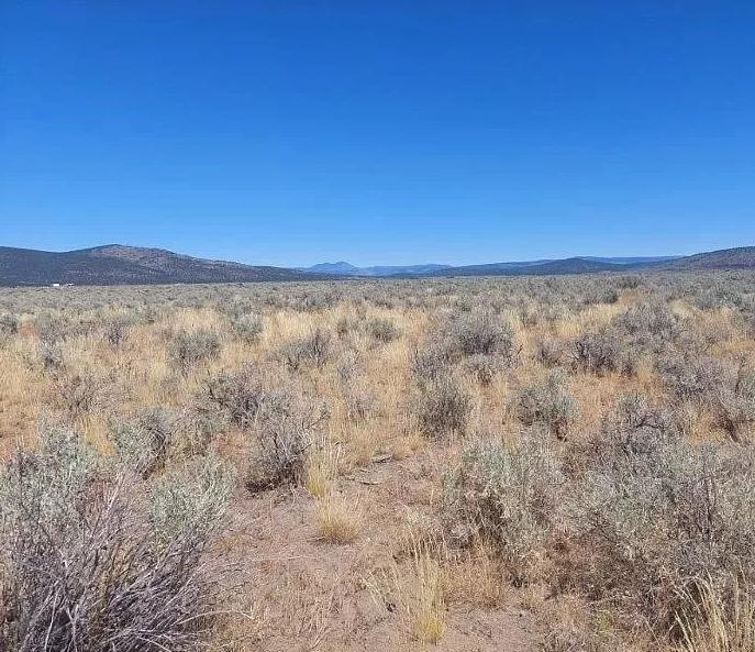 20.87 Acres for Sale in Madeline, California