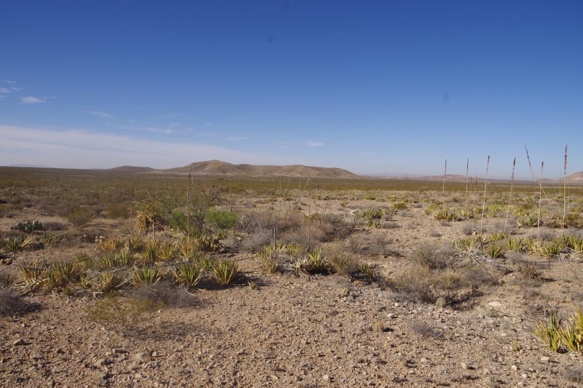 0.23 Acres for Sale in El Paso, Texas