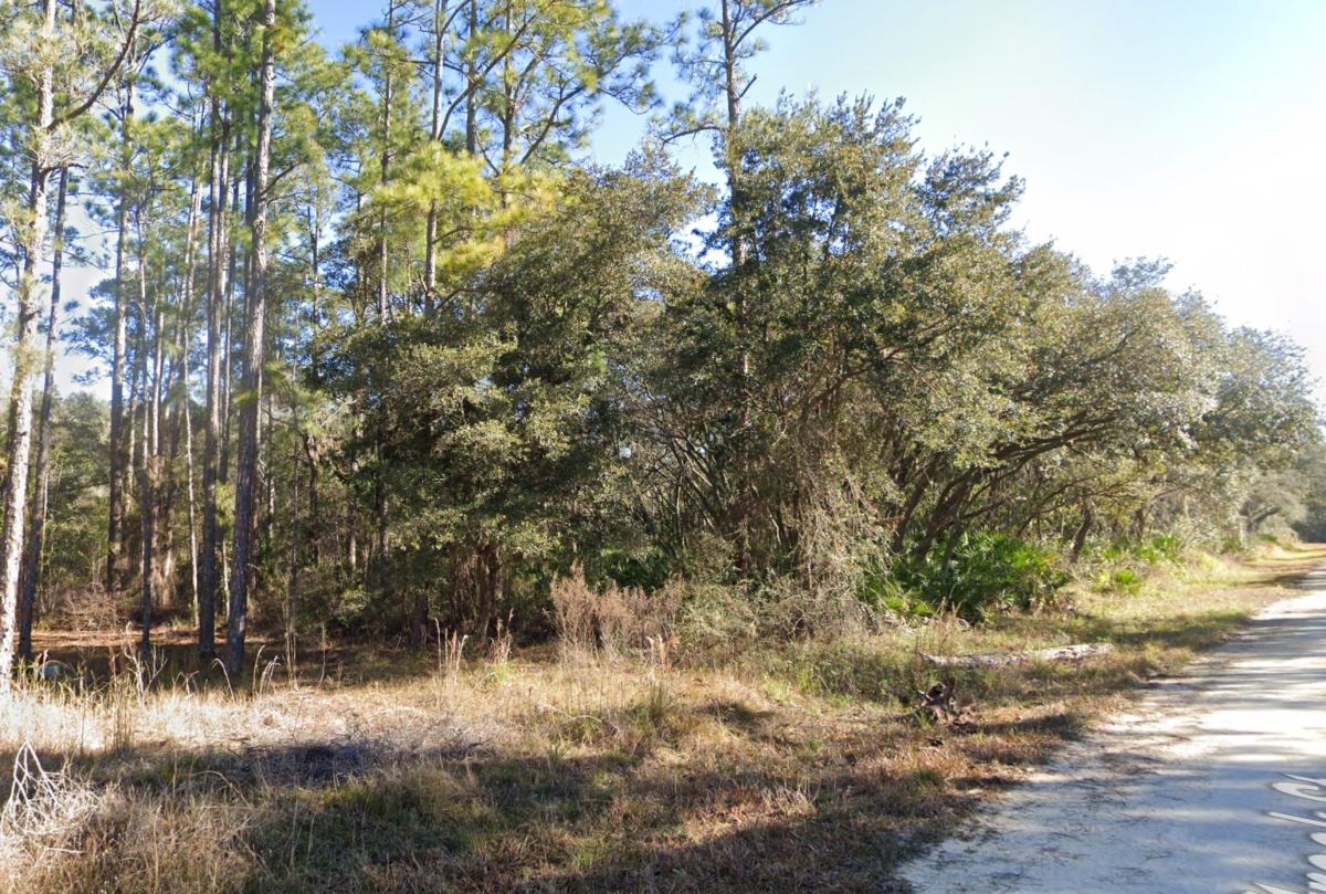 0.9 Acres for Sale in Webster, Florida