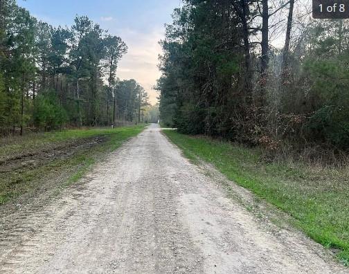 0.26 Acres for Sale in Livingston, Texas