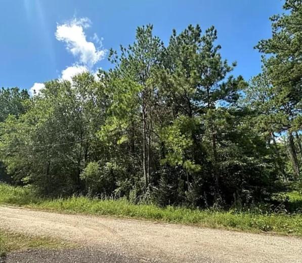 0.26 Acres for Sale in Livingston, Texas