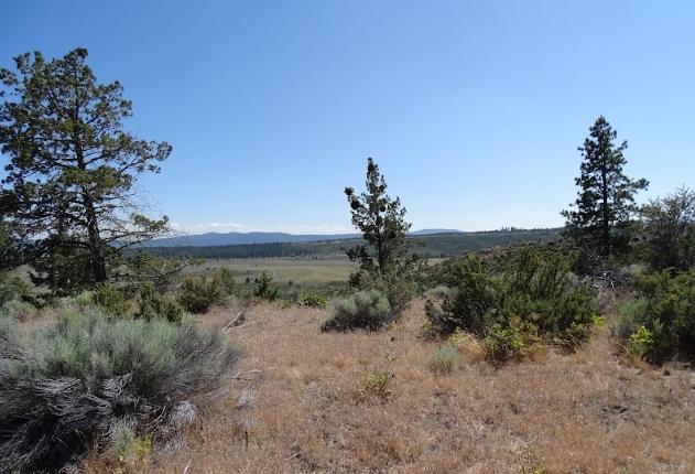 4.20 Acres for Sale in Chiloquin, Oregon