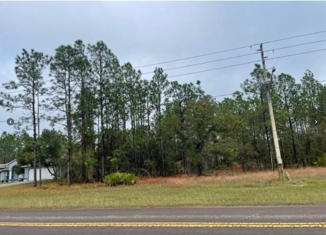 0.32 Acres for Sale in Homosassa, Florida