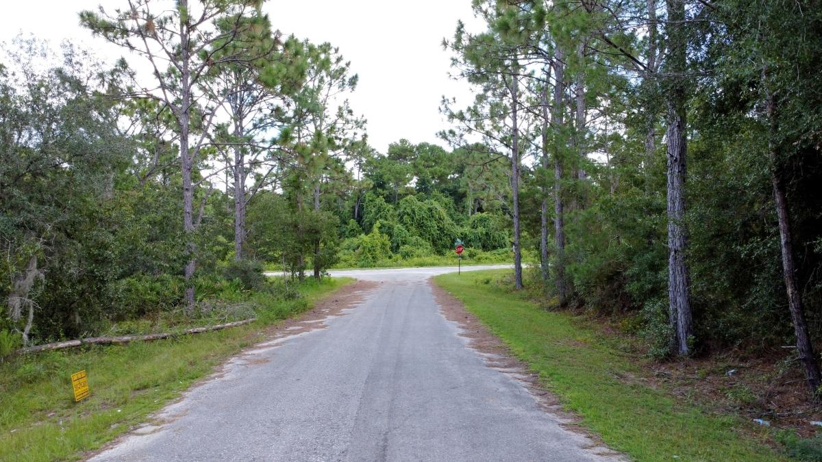 0.24 Acres for Sale in Ocklawaha, Florida
