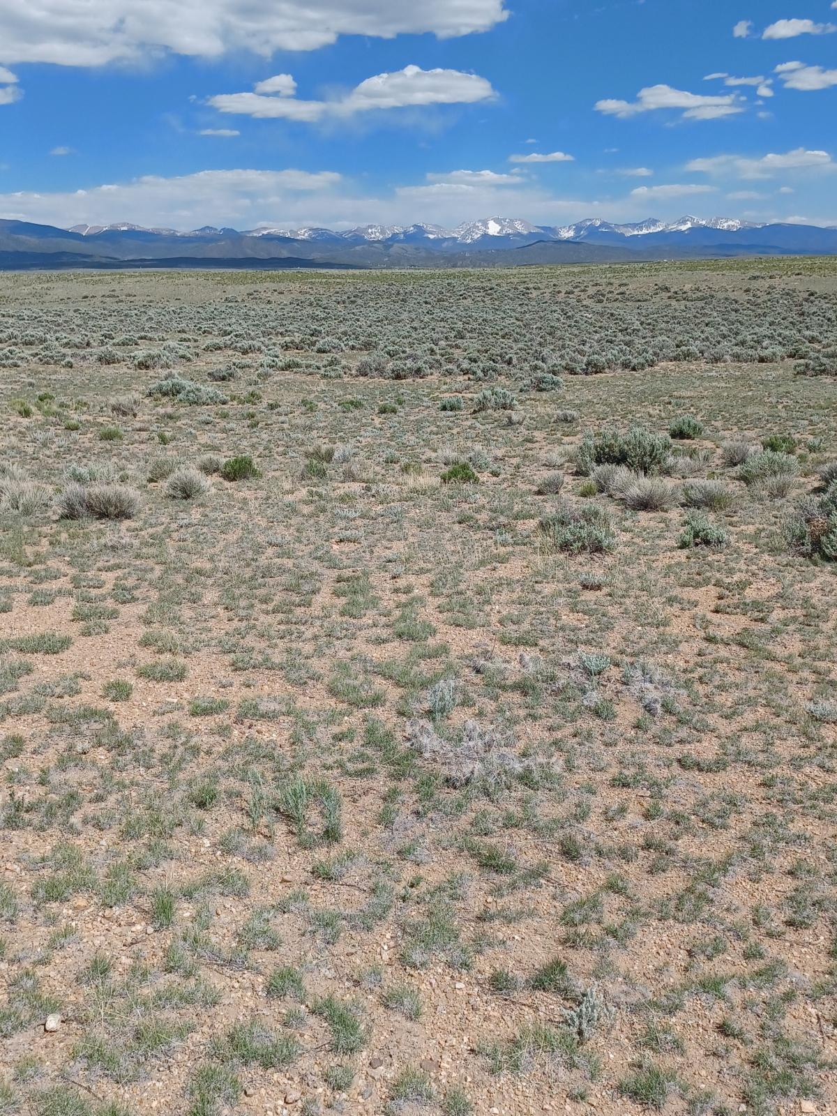 4.9 Acres for Sale in San Luis, Colorado