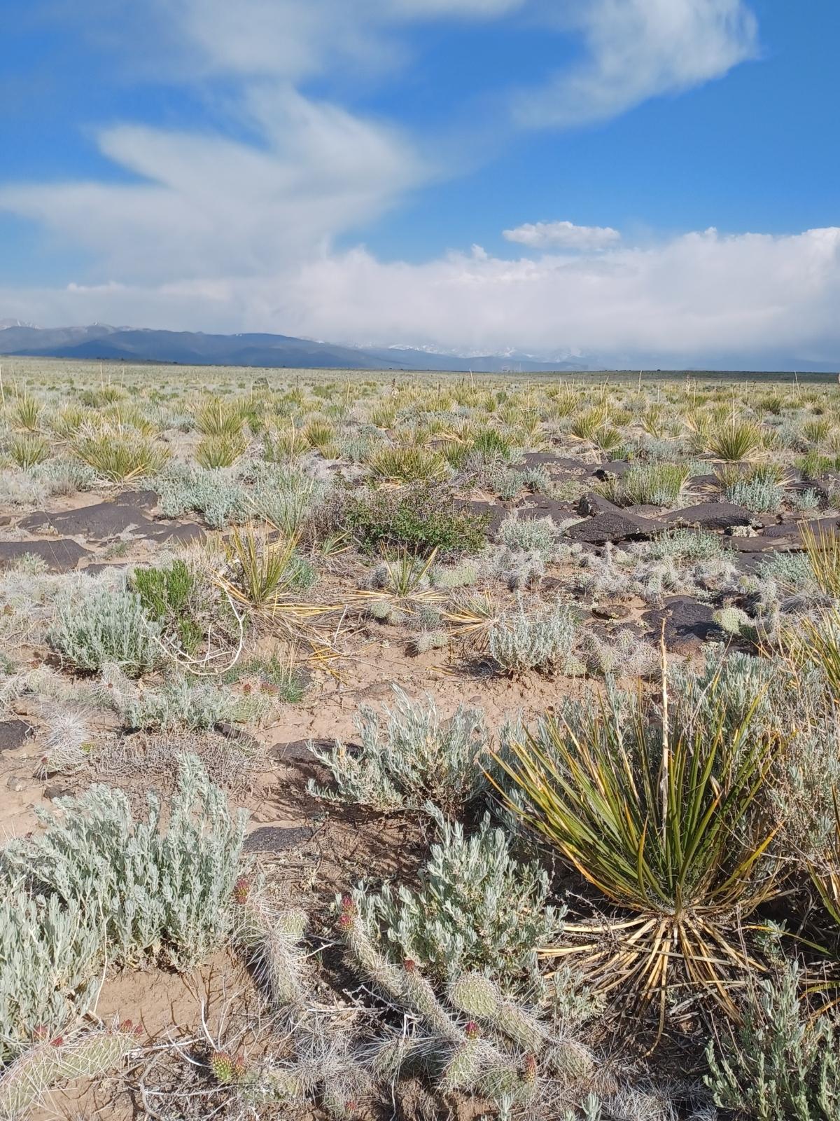 5.5 Acres for Sale in Blanca, Colorado