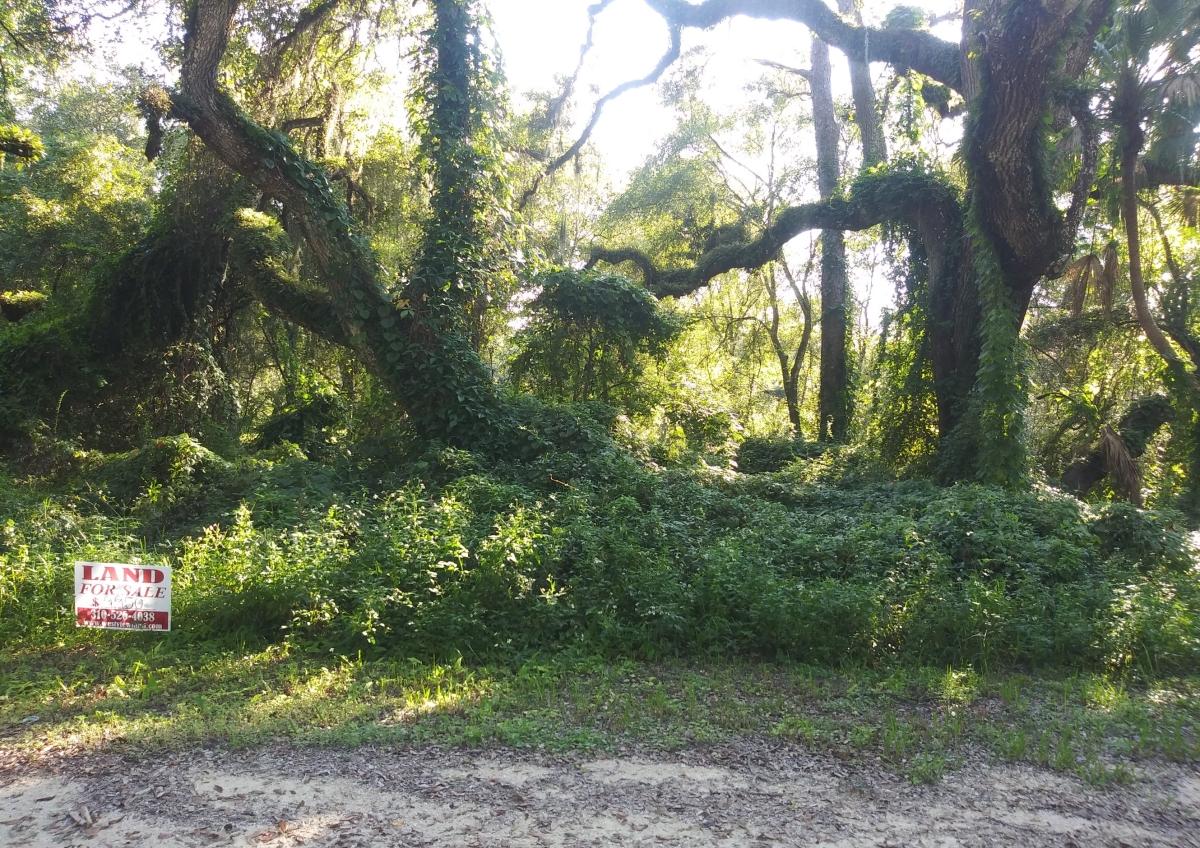 0.1 Acres for Sale in Dade City, Florida