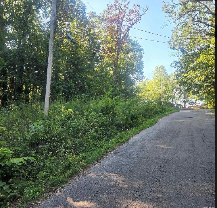 0.34 Acres for Sale in Cherokee Village, Arkansas