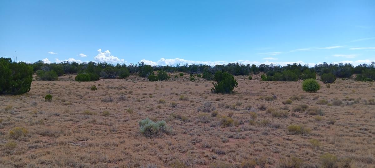 1.24 Acres for Sale in St Johns, Arizona