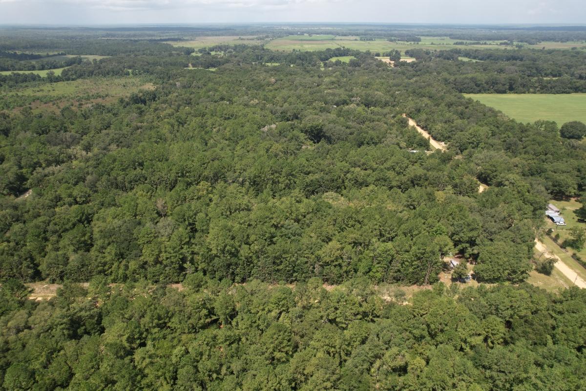 0.22 Acres for Sale in Interlachen, Florida