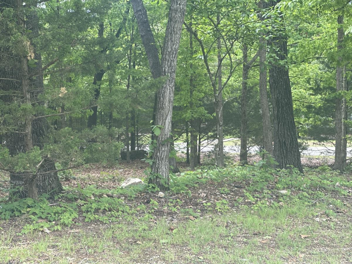 0.31 Acres for Sale in Horseshoe Bend, Arkansas