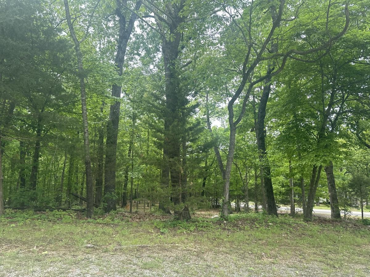 0.31 Acres for Sale in Horseshoe Bend, Arkansas