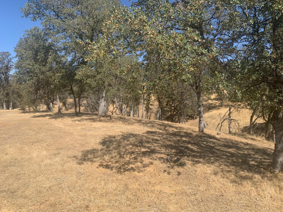 0.24 Acres for Sale in Cottonwood, California