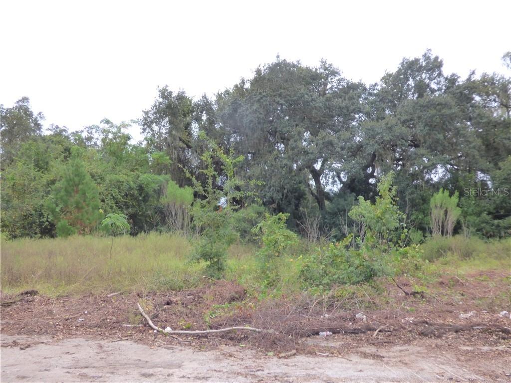 6.17 Acres for Sale in Fruitland Park, Florida