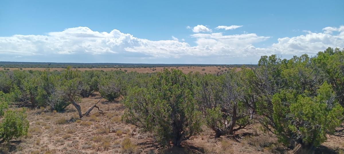 4.64 Acres for Sale in Chambers, Arizona