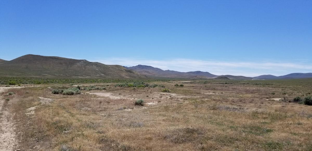 41.56 Acres for Sale in Placeritas, Nevada