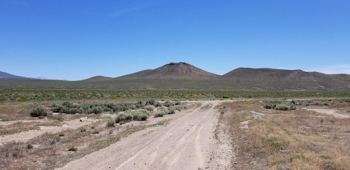 41.56 Acres for Sale in Placeritas, Nevada