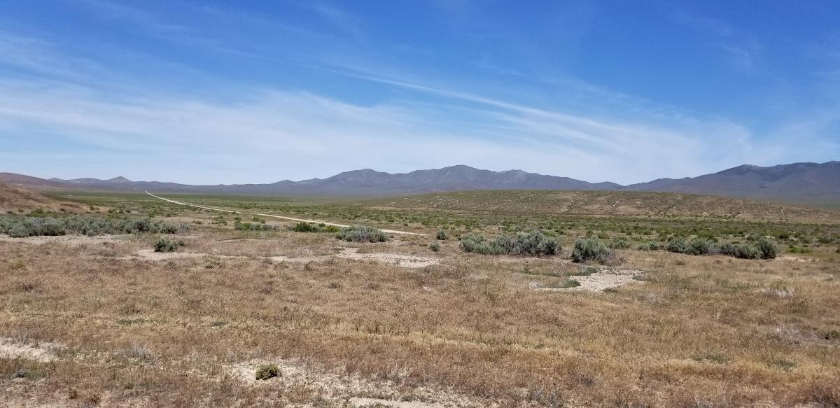 41.56 Acres for Sale in Placeritas, Nevada