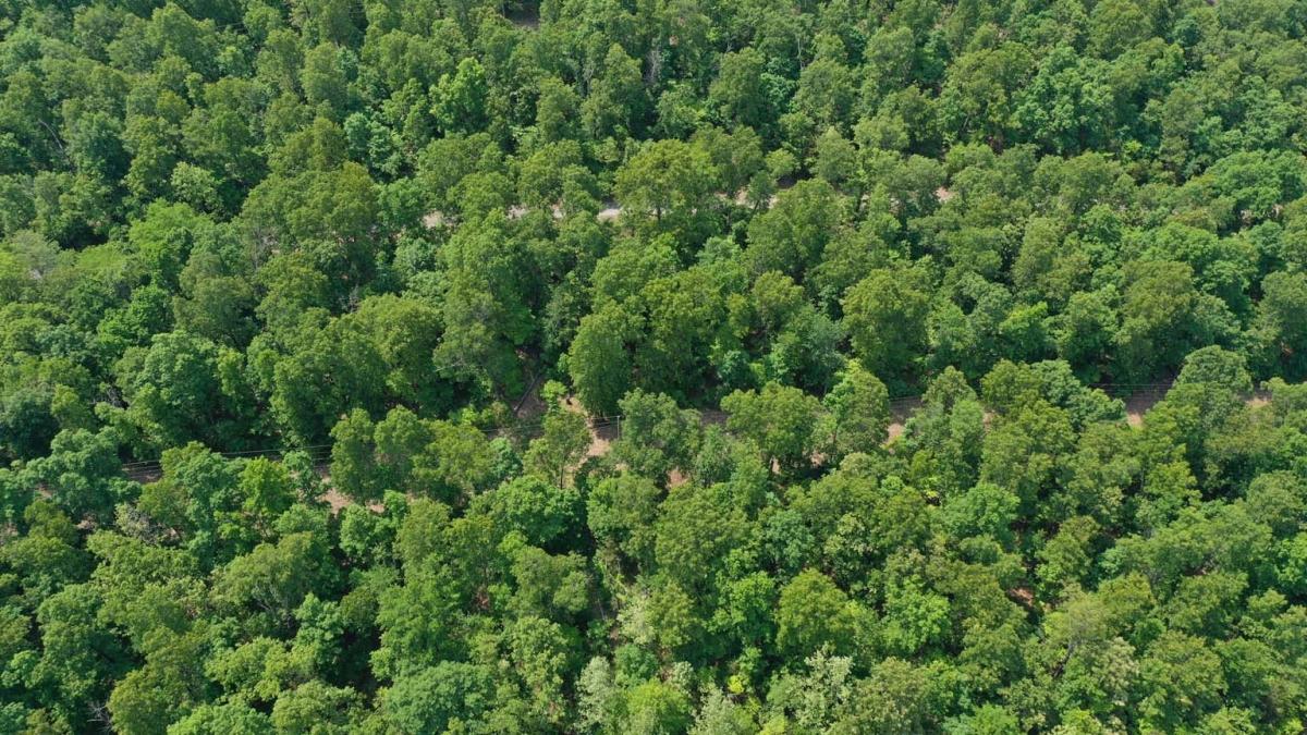 0.66 Acres for Sale in Horseshoe Bend, Arkansas