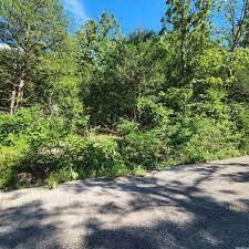0.36 Acres for Sale in Cherokee Village, Arkansas