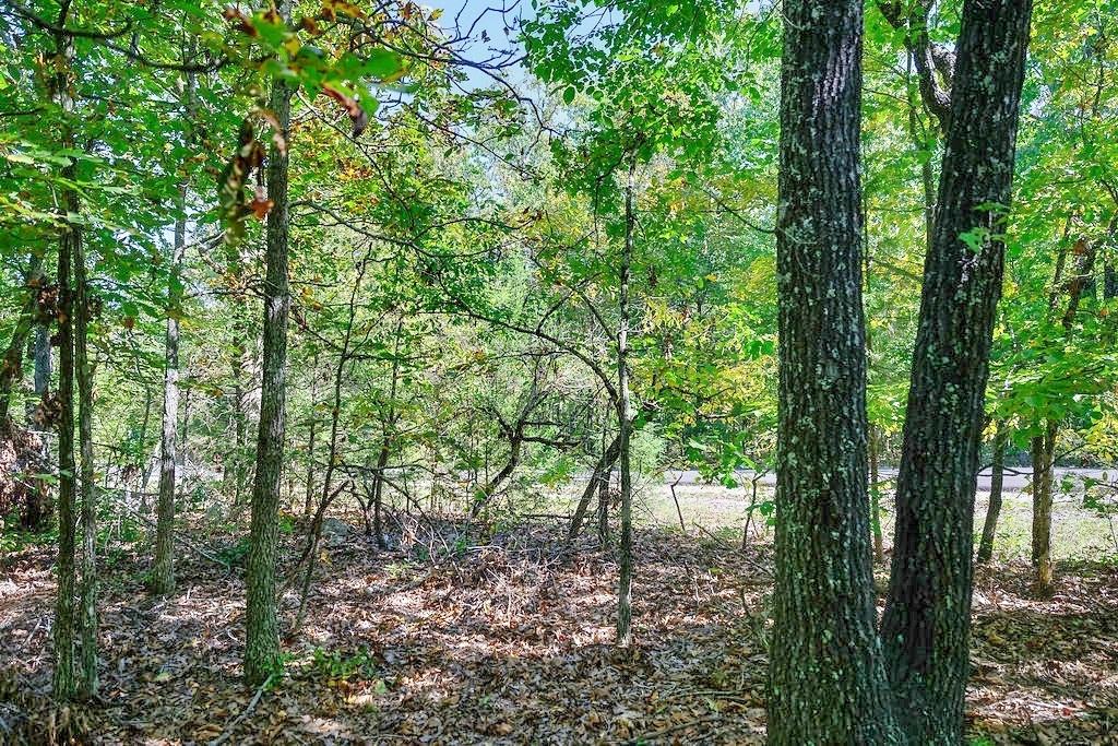 0.41 Acres for Sale in Horseshoe Bend, Arkansas