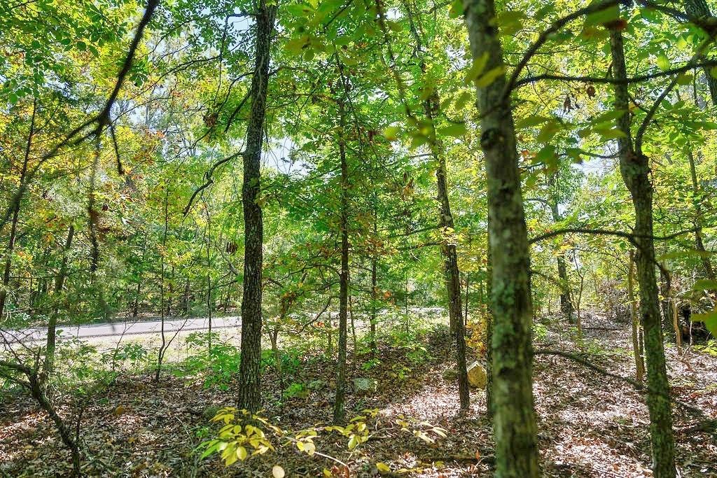 0.41 Acres for Sale in Horseshoe Bend, Arkansas