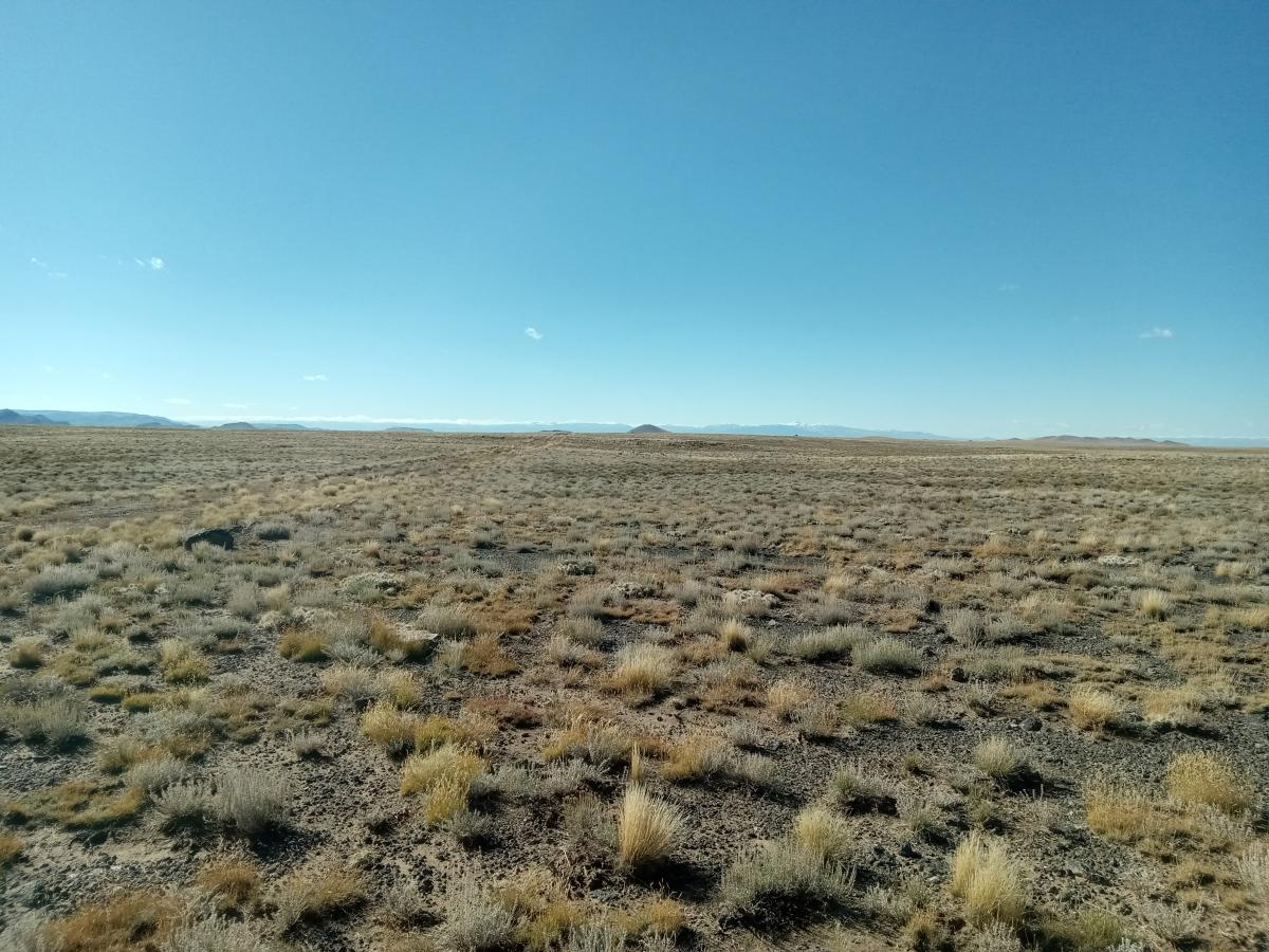 5.1 Acres for Sale in Blanca, Colorado