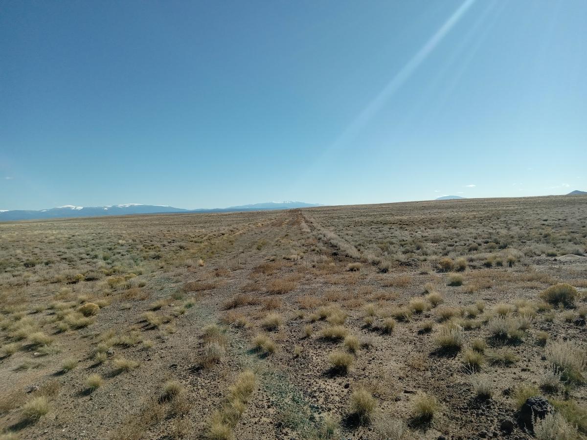 5.1 Acres for Sale in Blanca, Colorado