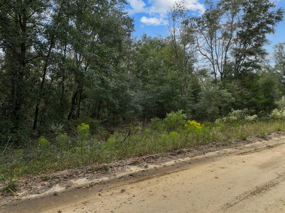 0.36 Acres for Sale in Interlachen, Florida