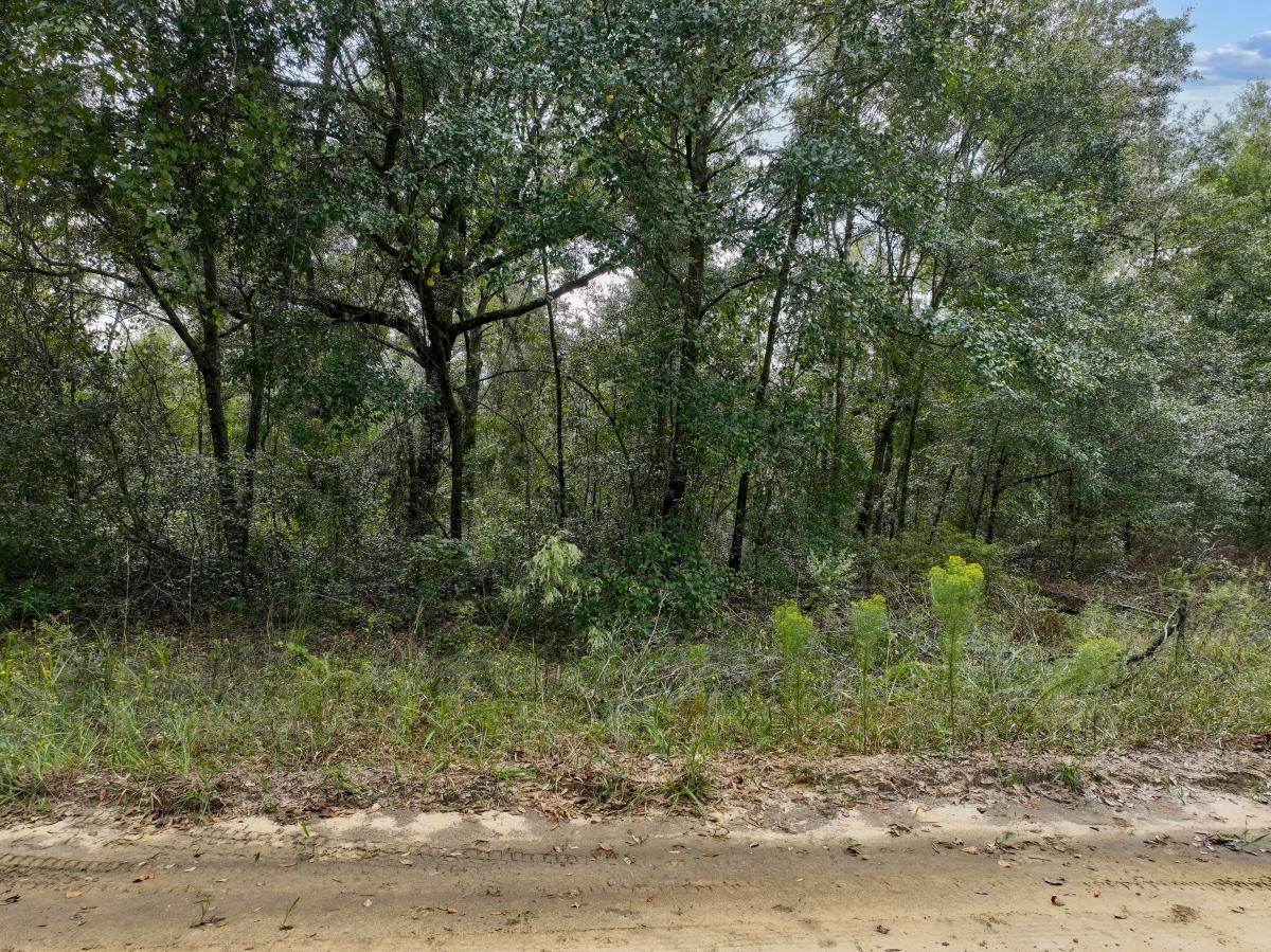 0.36 Acres for Sale in Interlachen, Florida