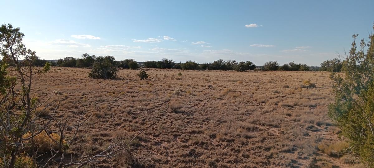 2.47 Acres for Sale in Chambers, Arizona