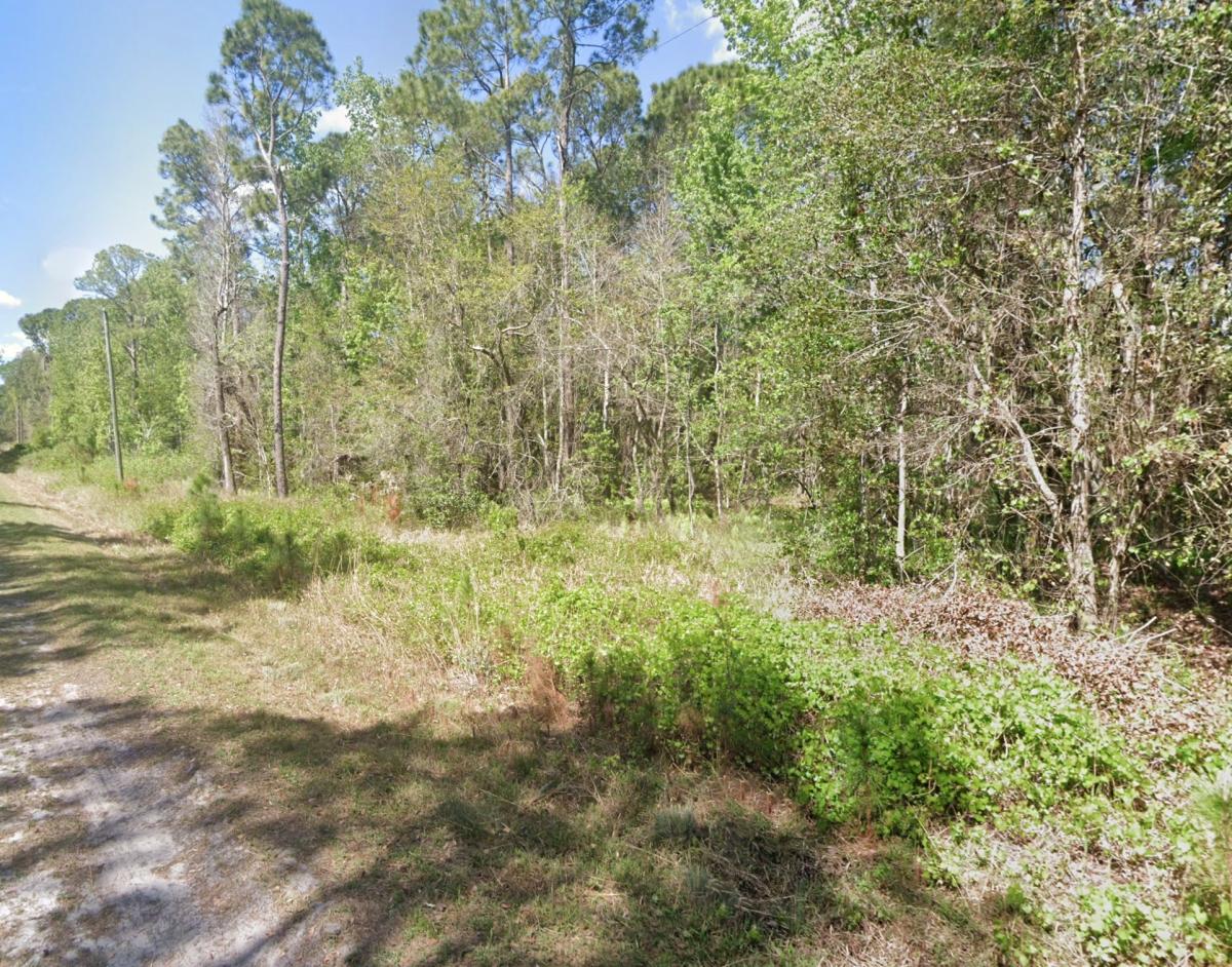 0.46 Acres for Sale in Georgetown, Florida