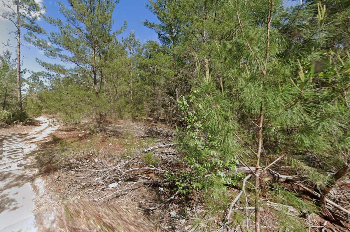 0.25 Acres for Sale in Hawthorne, Florida