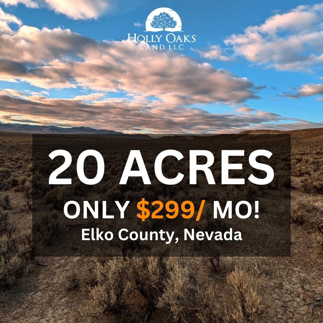 20 Acres for Sale in Ryndon, Nevada