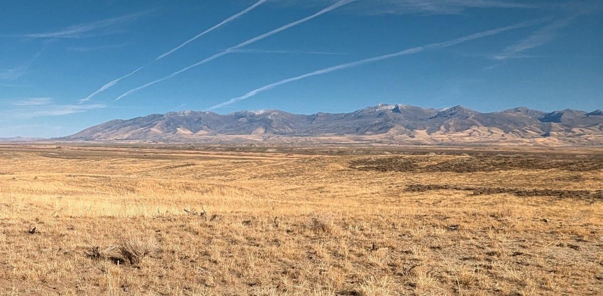 40 Acres for Sale in Halleck, Nevada