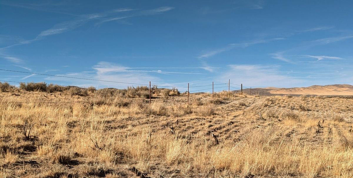 40 Acres for Sale in Halleck, Nevada