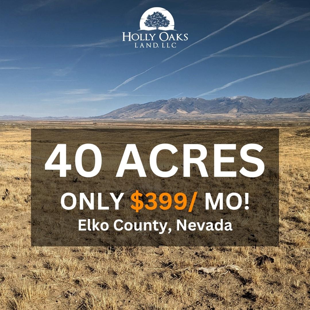 40 Acres for Sale in Halleck, Nevada