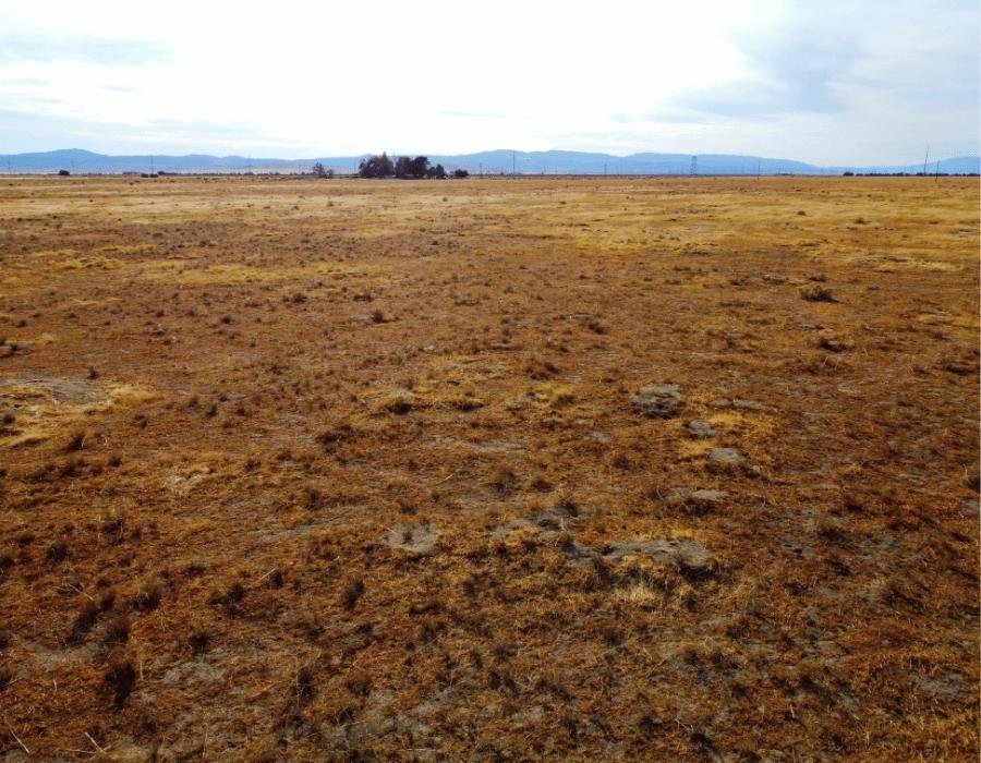 2.72 Acres for Sale in Lancaster, California