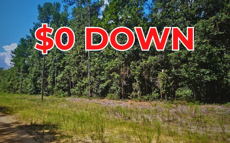 0.22 Acres for Sale in Interlachen, Florida