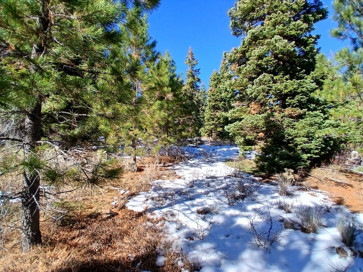 1.3 Acres for Sale in Alturas, California