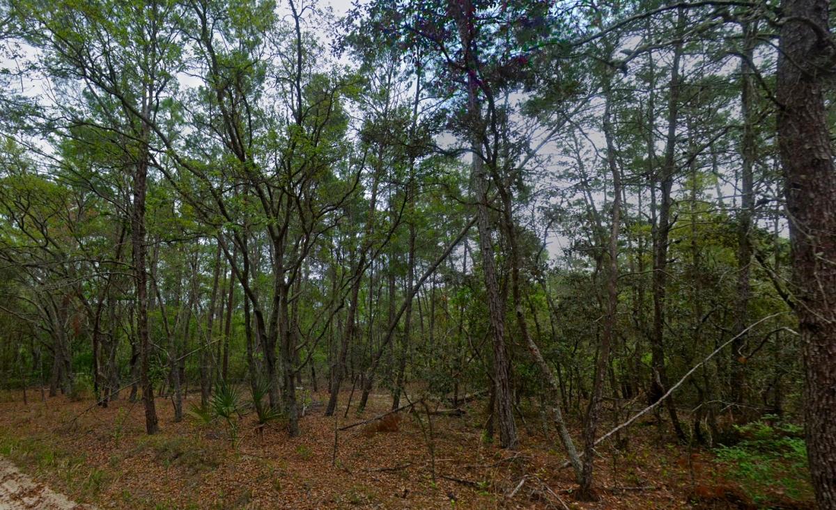 0.26 Acres for Sale in Satsuma, Florida