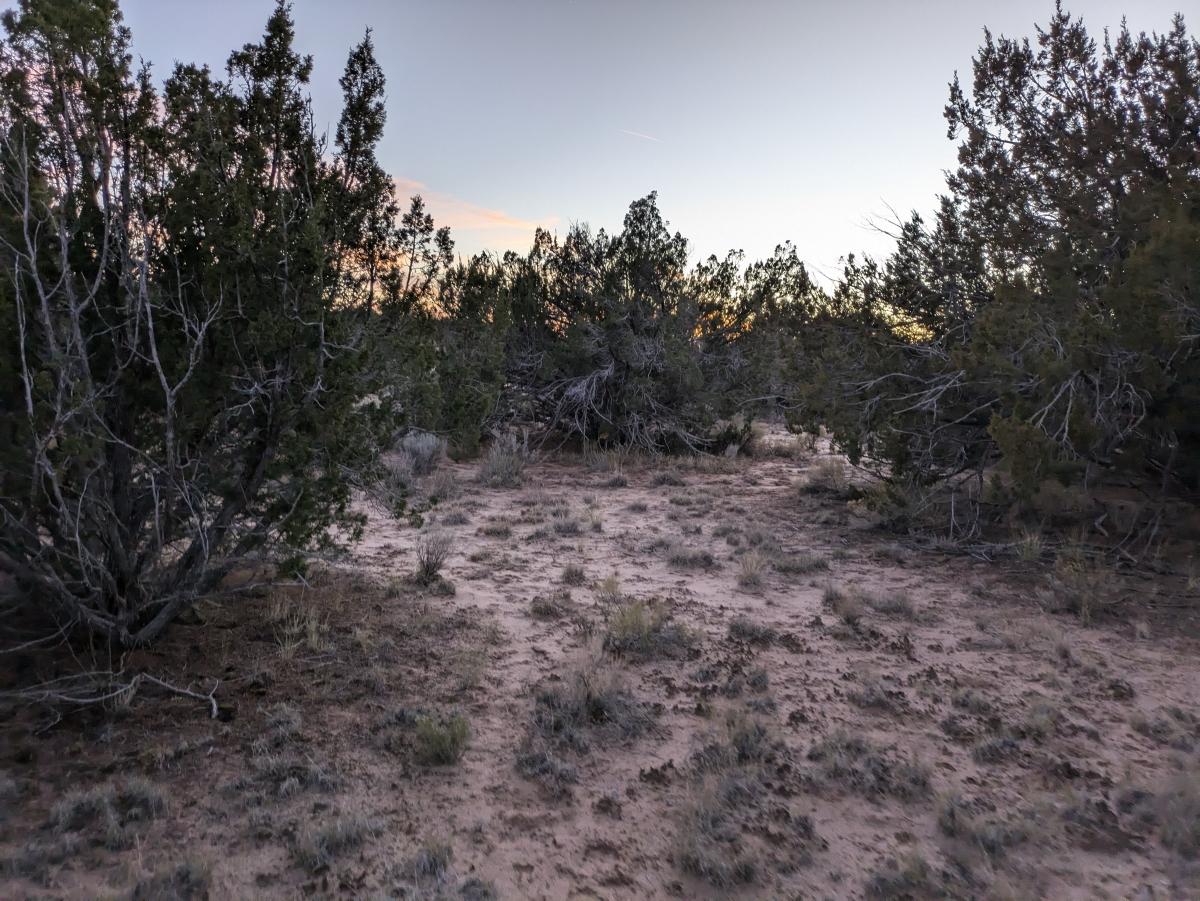 1.26 Acres for Sale in Chambers, Arizona
