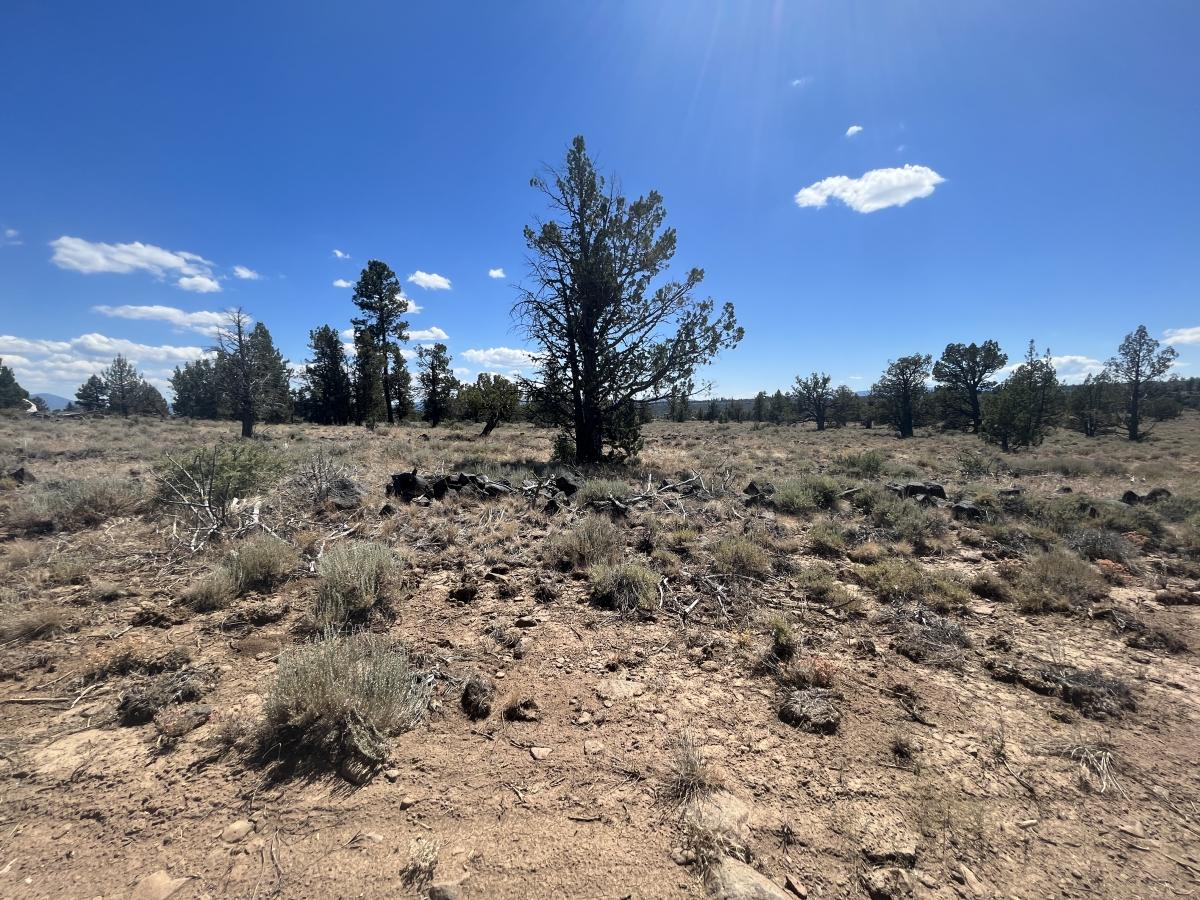 1.53 Acres for Sale in Chiloquin, Oregon