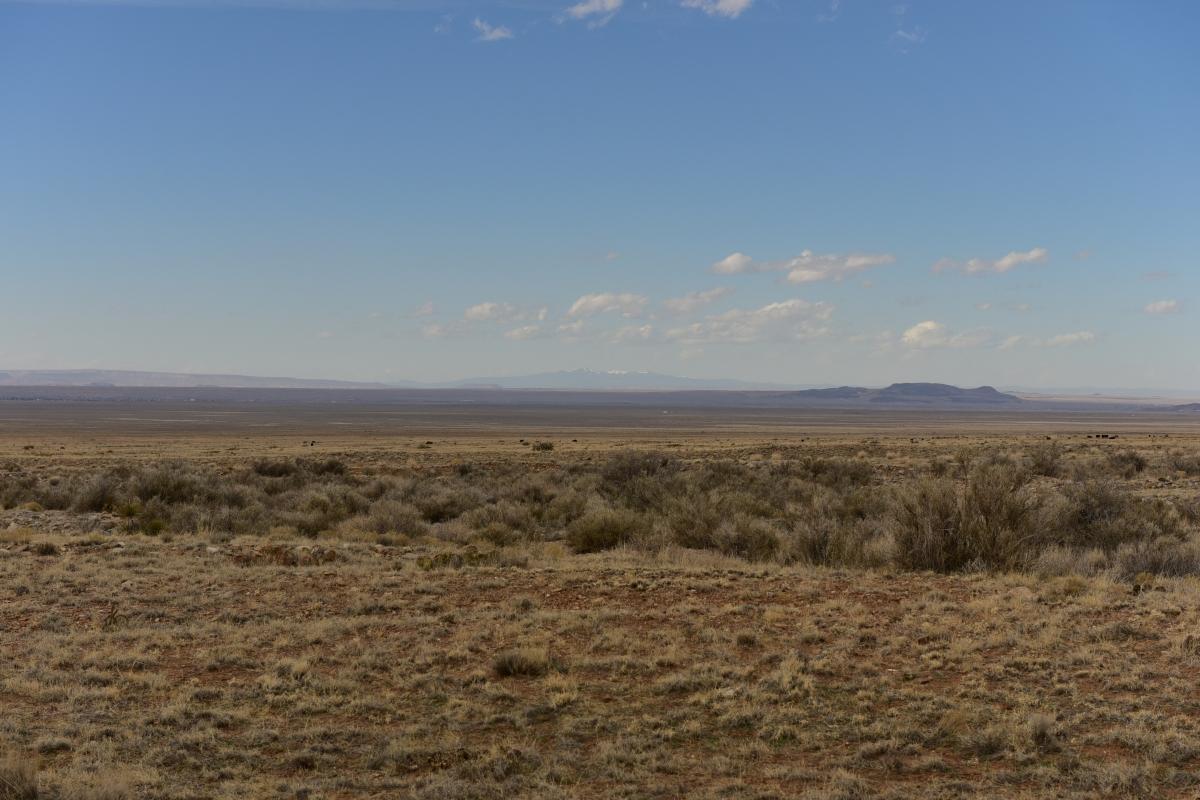 5.00 Acres for Sale in Bodega, New Mexico