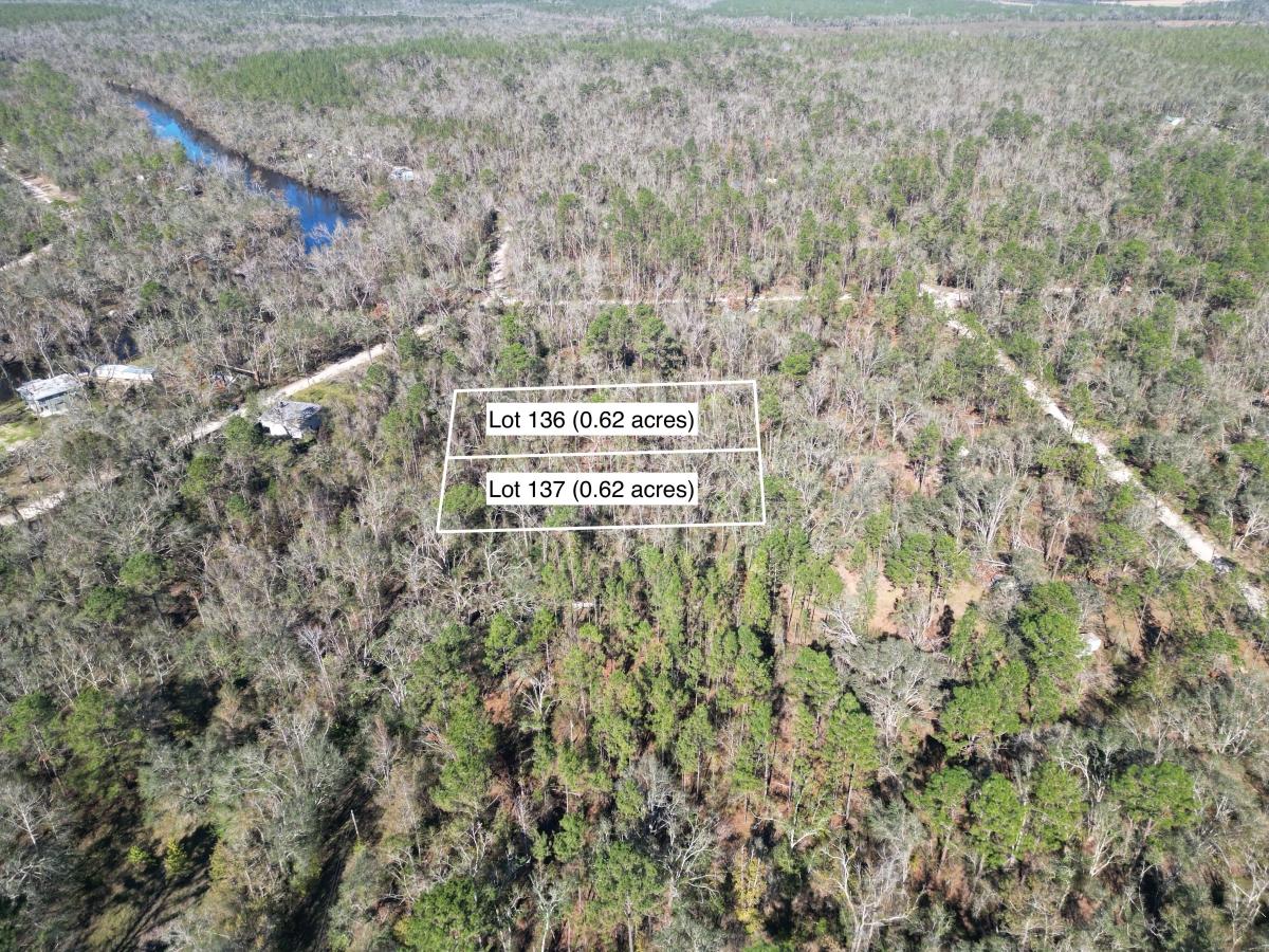 1.24 Acres for Sale in Jasper, Florida