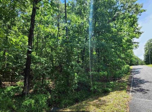 0.33 Acres for Sale in Fairfield Bay (Save 10% before 12/31/2024), Arkansas