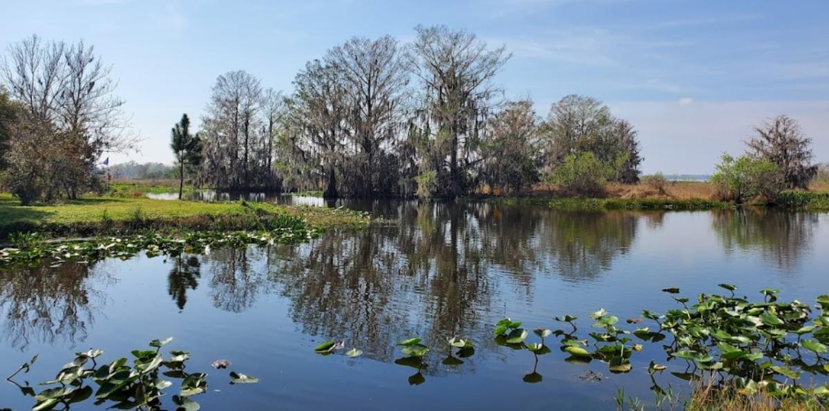 0.23 Acres for Sale in Interlachen, Florida