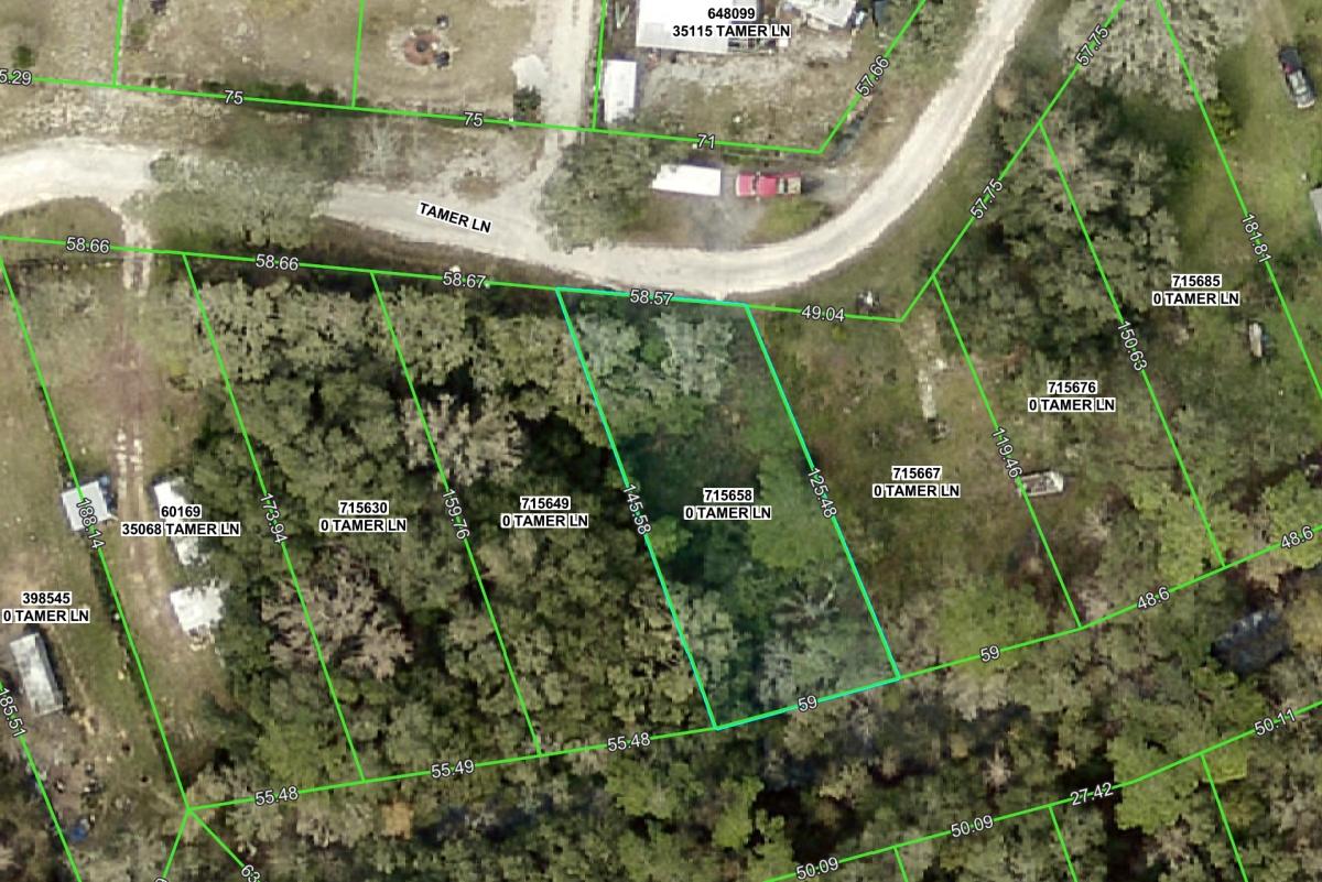 0.17 Acres for Sale in Ridge Manor, Florida